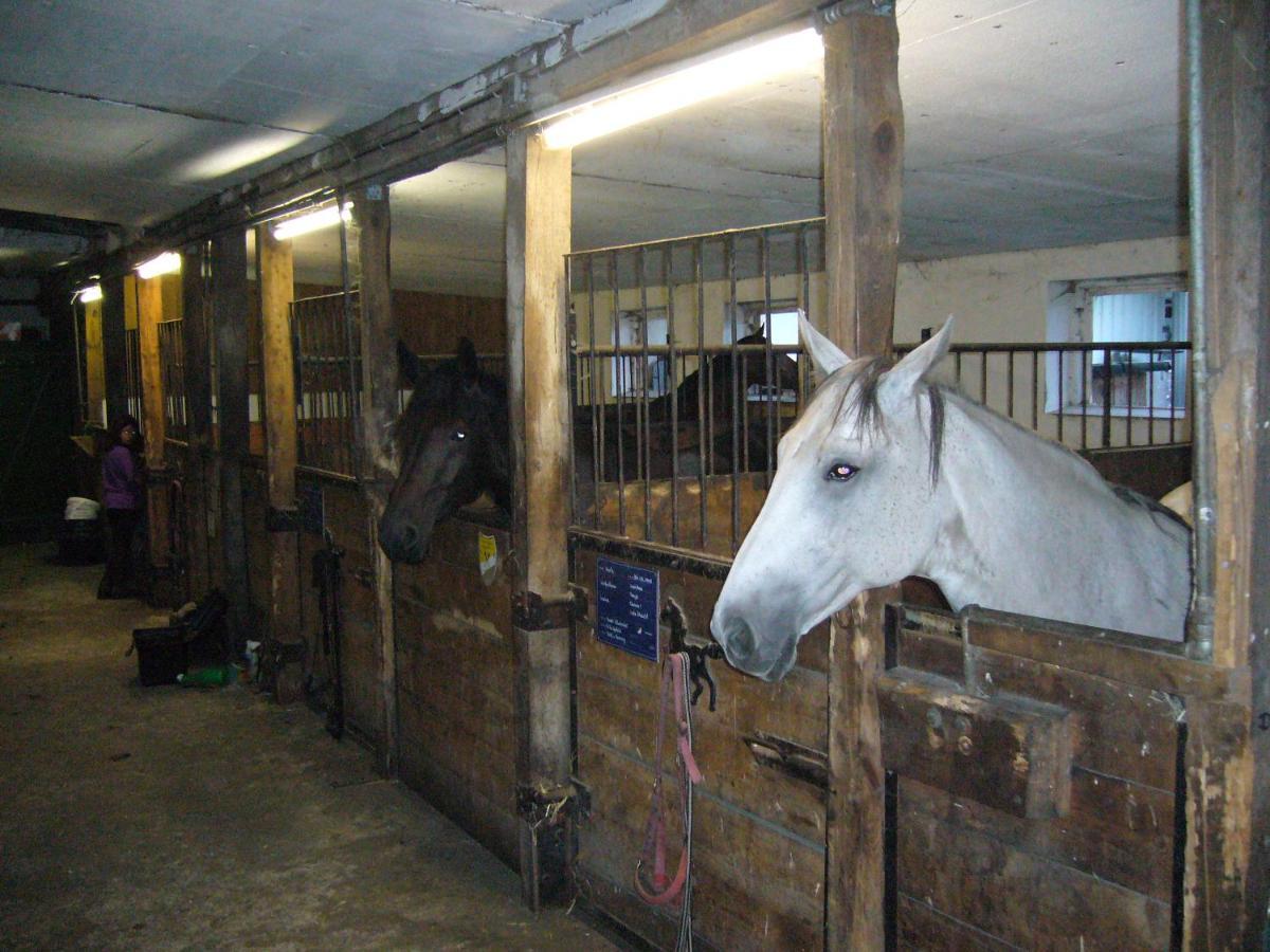 Drewes Ranch Holiday home Wietzendorf
